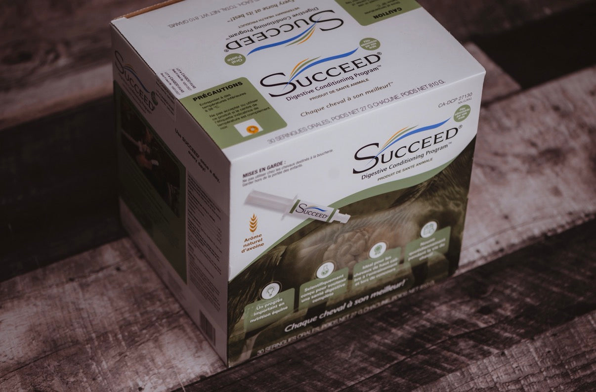 Succeed